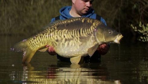 A carp from Emeraude, Mar 2025