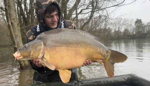 A carp from Emeraude, NEW STOCK, Jan 2025
