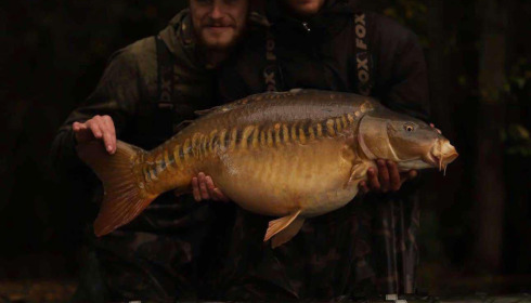 A fish from Emeraude, Oct 2024