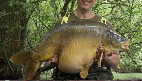 A carp from Emeraude, Jun 2024