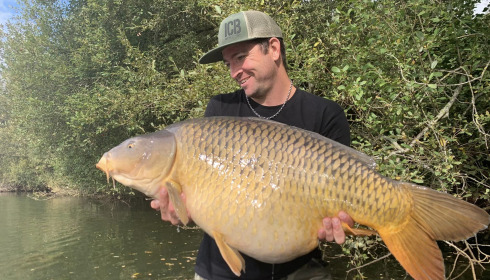 A carp from Emeraude, Sep 2023