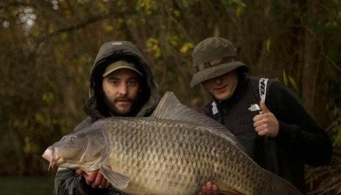 A carp from Emeraude, Nov 2024
