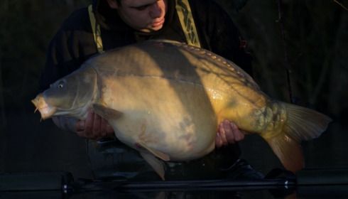 A fish from Emeraude, Mar 2025