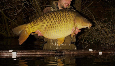 A carp from Emeraude, Jordan, Mar 2024