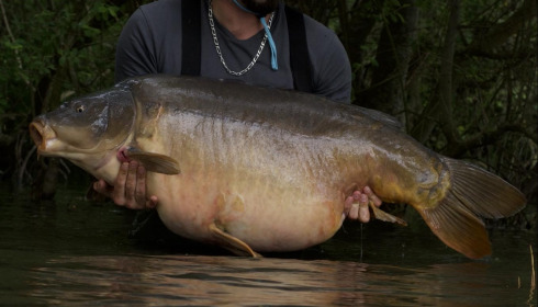A 67 lb carp from Emeraude, May 2024
