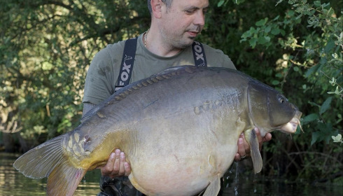 A carp from Emeraude, Jun 2024