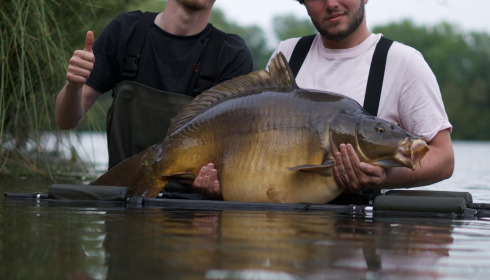 A carp from Emeraude, Jun 2025