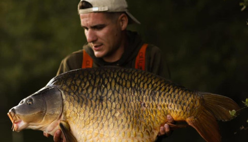 A carp from Emeraude, Jun 2024