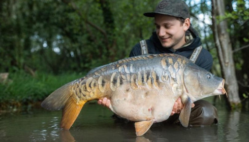 A carp from Emeraude, Jul 2024