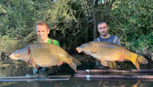 A carp from Emeraude, Sep 2023