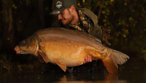 A fish from Emeraude, Oct 2024