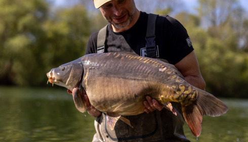 A carp from Emeraude, Apr 2024