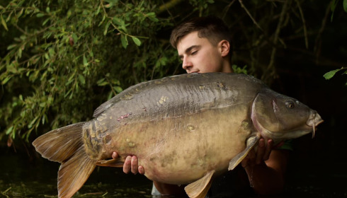 A carp from Emeraude, Sep 2024