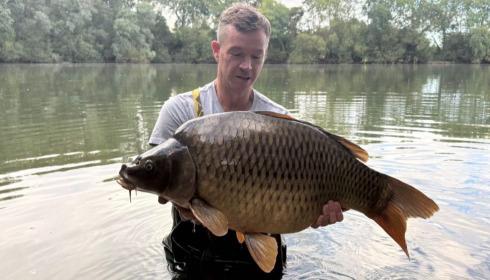 A carp from Emeraude, Sep 2025