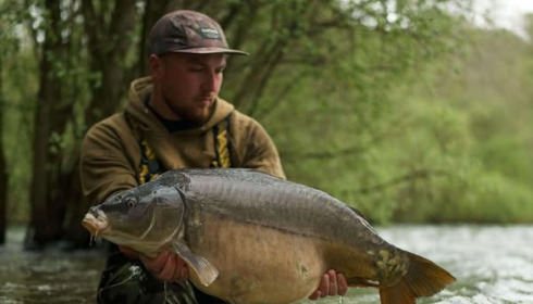 A carp from Emeraude, Apr 2025