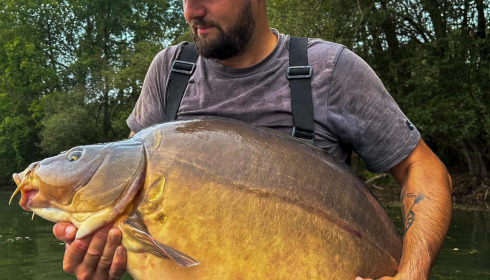 A carp from Emeraude, Sep 2023