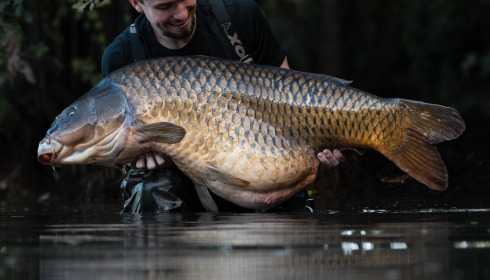 A 72 lb 6 oz carp from Emeraude, Sep 2025