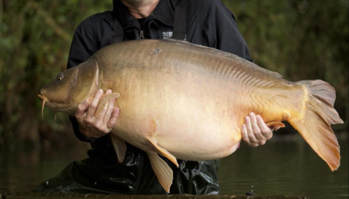 A 57 lb 3 oz carp from Emeraude, Graham Wilde, Sep 2024