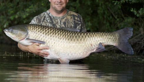 A carp from Emeraude, Oct 2024