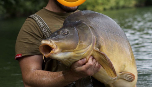 A fish from Emeraude, Jul 2025