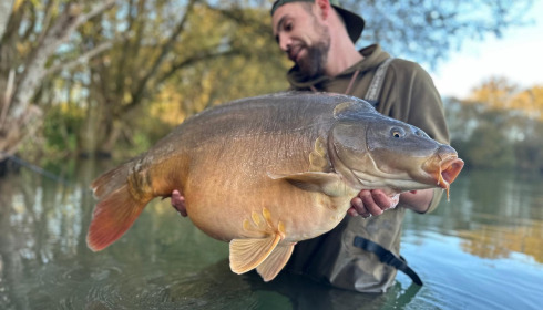 A carp from Emeraude, Feb 2025