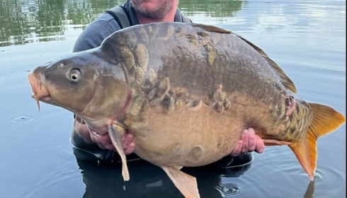 A carp from Emeraude, Sep 2023