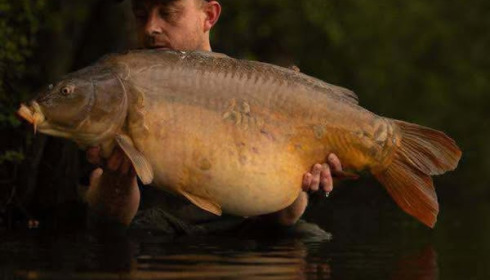 A carp from Emeraude, Apr 2025