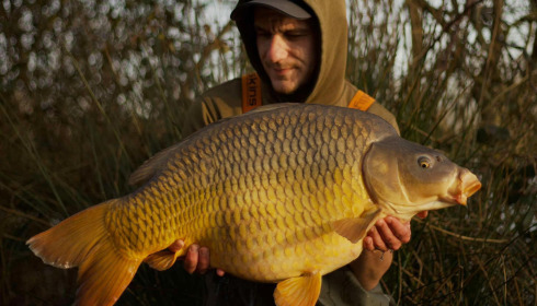 A carp from Emeraude, Feb 2025
