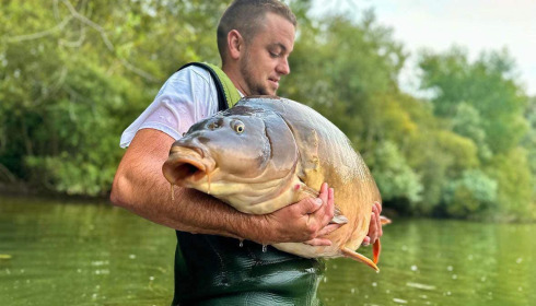 A carp from Emeraude, Sep 2023