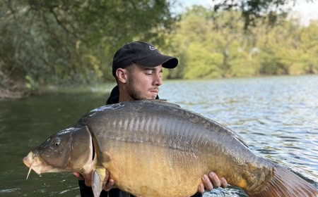 A carp from Emeraude, Sep 2025
