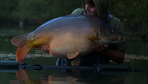 A carp from Emeraude, Nov 2024