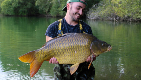 A carp from Emeraude, Jun 2025