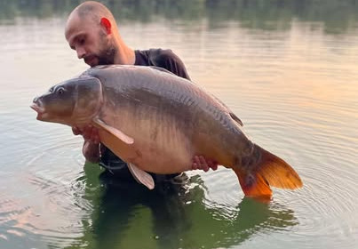 A carp from Emeraude, Aug 2025