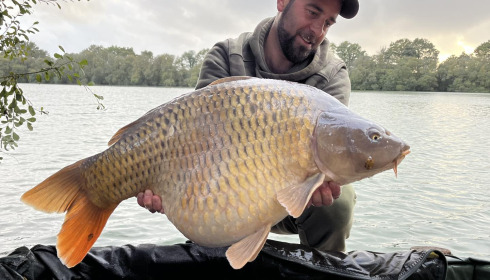 A carp from Emeraude, Oct 2024