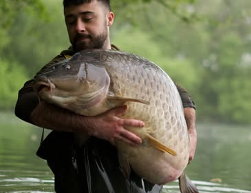 A 72 lb carp from Emeraude, May 2025