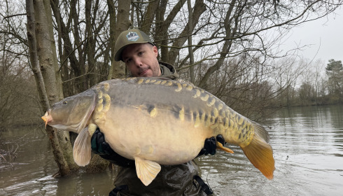 A carp from Emeraude, NEW STOCK, Jan 2025