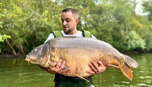 A carp from Emeraude, Sep 2023