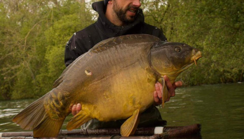 A carp from Emeraude, May 2024