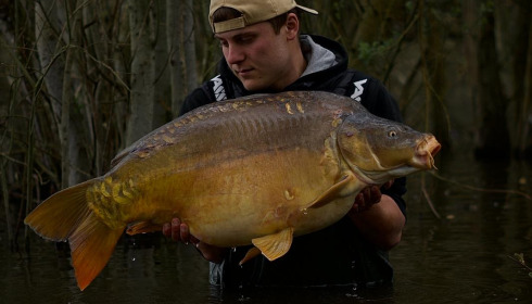 A carp from Emeraude, Apr 2025