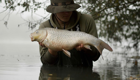 A fish from Emeraude, Oct 2024