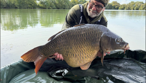 A carp from Emeraude, Sep 2025