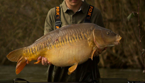 A fish from Emeraude, Mar 2025
