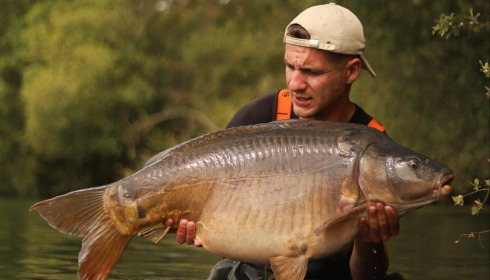 A carp from Emeraude, May 2024