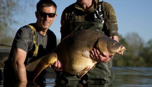 A carp from Emeraude, Apr 2025