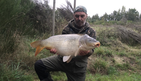 A carp from Emeraude, Sep 2023