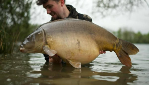 A carp from Emeraude, Apr 2025