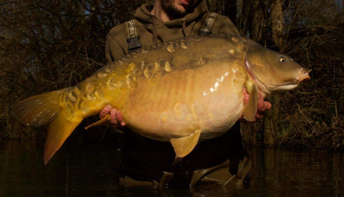 A carp from Emeraude, Jordan, Mar 2024