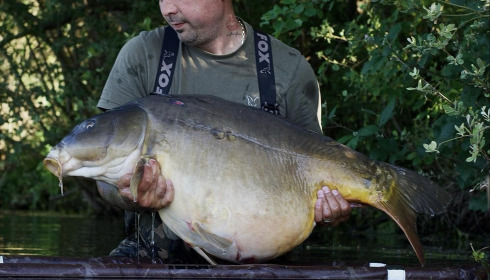 A carp from Emeraude, Jun 2024