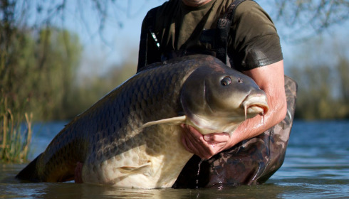 A 70 lb 5 oz carp from Emeraude, Apr 2025