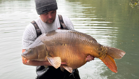 A carp from Emeraude, Sep 2025